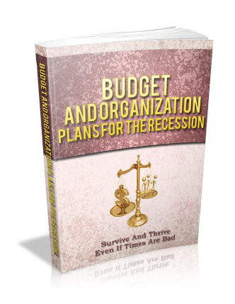 Budget And Organization Plans For The Recession